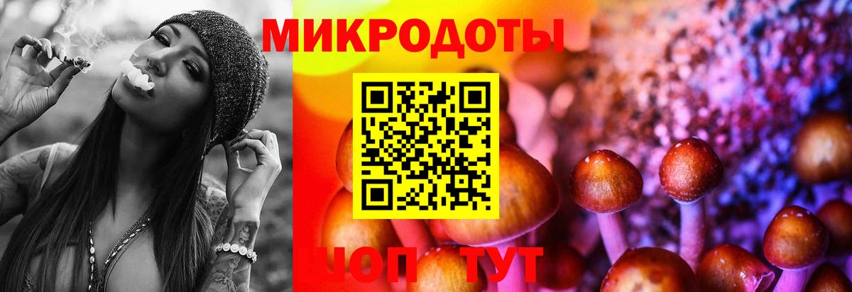 Осинники  Псилоцибиновые грибы MAGIC MUSHROOMS  Псилоцибиновые грибы Cubensis  Вход с VPN 